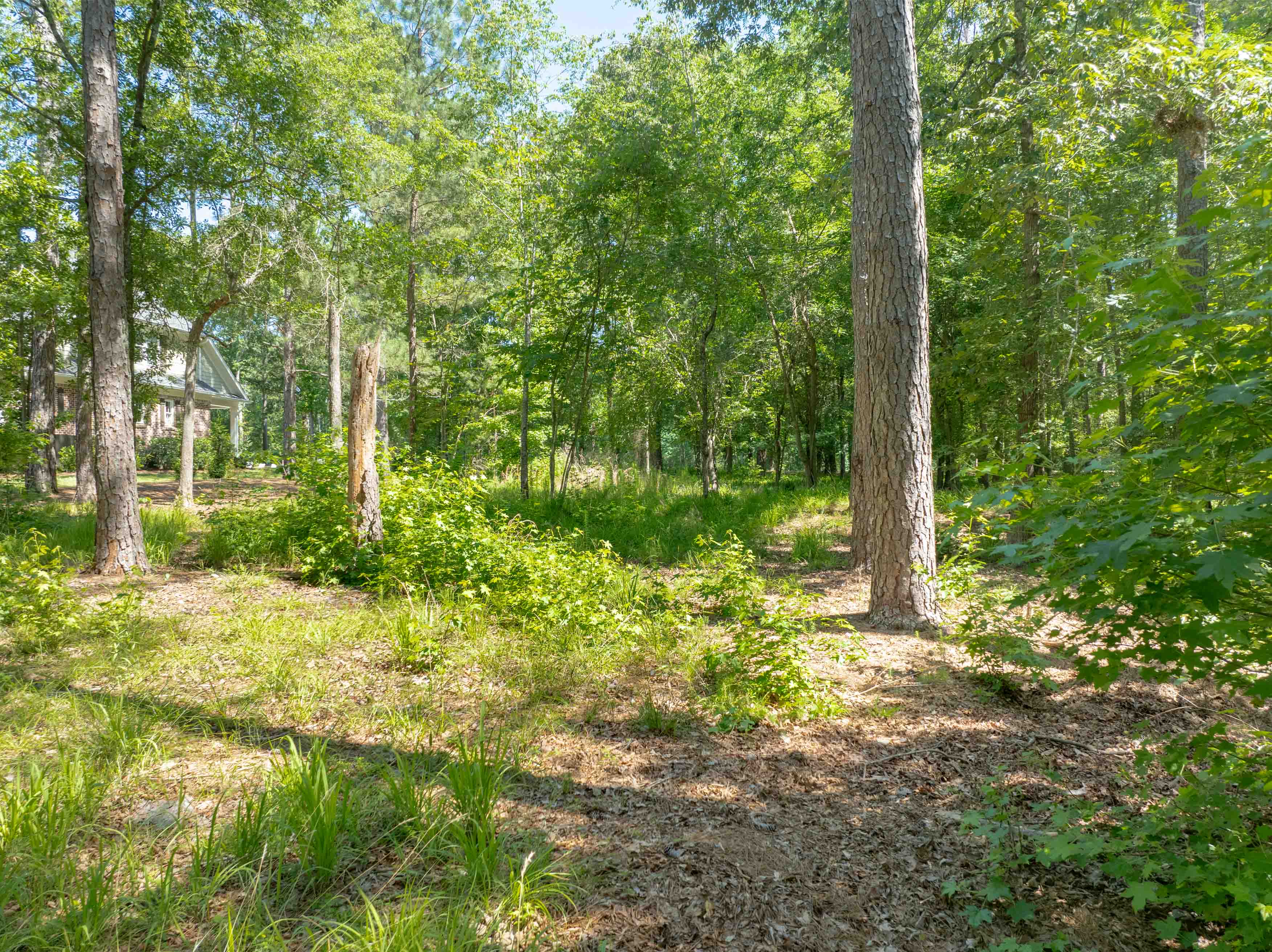 381 Reynolds Drive image 6